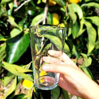 ��ȭ���� ���̽� 560ml