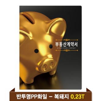 �⼺ �ε���ȭ�� 0.23T ������PP(6P) - ������