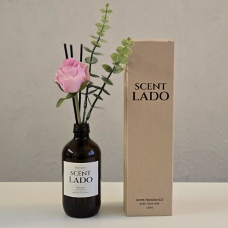 ��Ʈ�� ��ǻ�� ������� 200ml