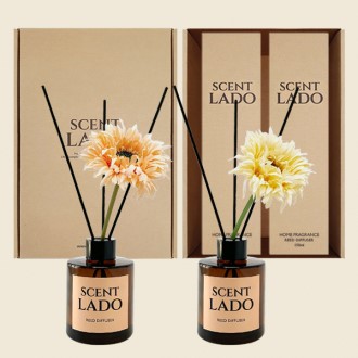 ��Ʈ�� ��ǻ�� �̴ϰź��� 150ml 2P ��Ʈ