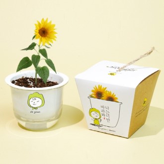 �׸��йи� �Ĺ�ŰƮ-�عٶ��