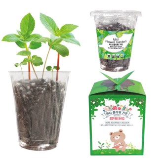 �̴� �ö�� ����(���� ȭ��)