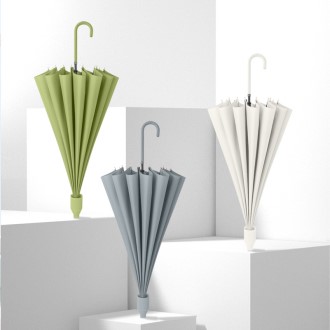 (Blossom) ������ �ָ��� �÷� 16K ���� ���� 1P