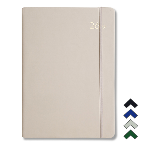 DV PRO3�÷��� ���� 25�� ���̾