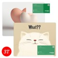 ���Բ��� PVC ���콺�е� 3T �÷��μ� ����