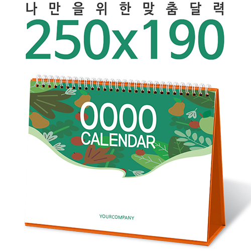 Ź�� ���� 250 * 190 Ķ���� ī����